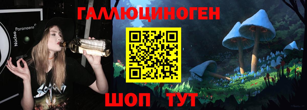 Псилоцибиновые грибы GOLDEN TEACHER Вичуга