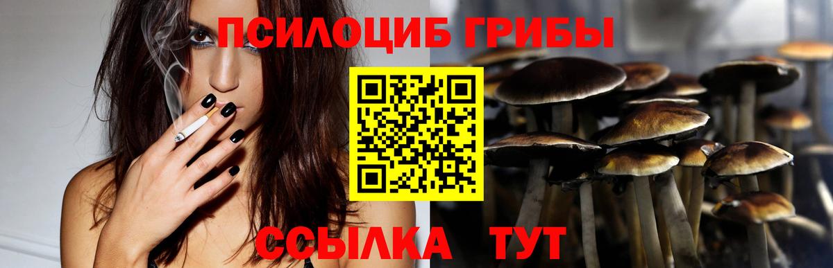 Галлюциногенные грибы GOLDEN TEACHER  Вход с VPN  Вичуга  Галлюциногенные грибы Psilocybe 